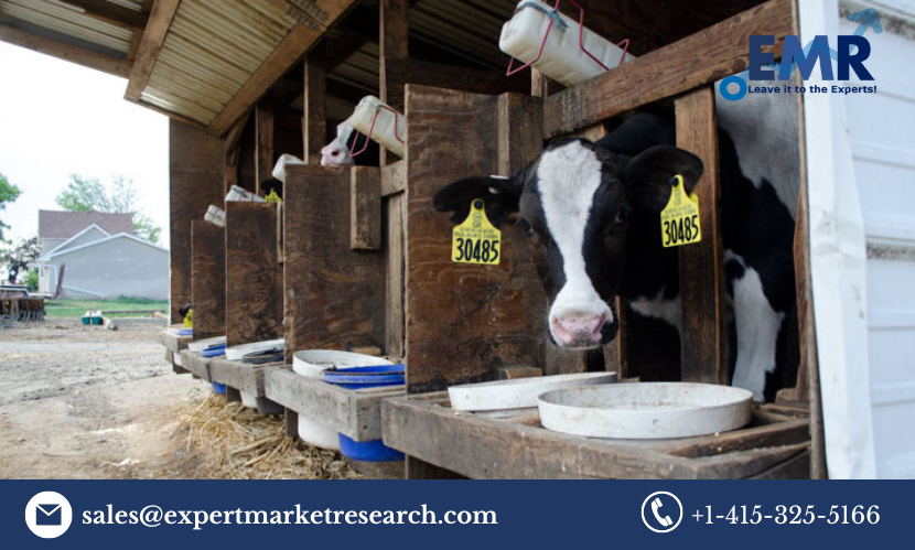 Animal Feeding Equipment Global Market