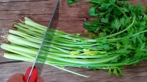 Celery Leaves Have Many Health Benefits For Men