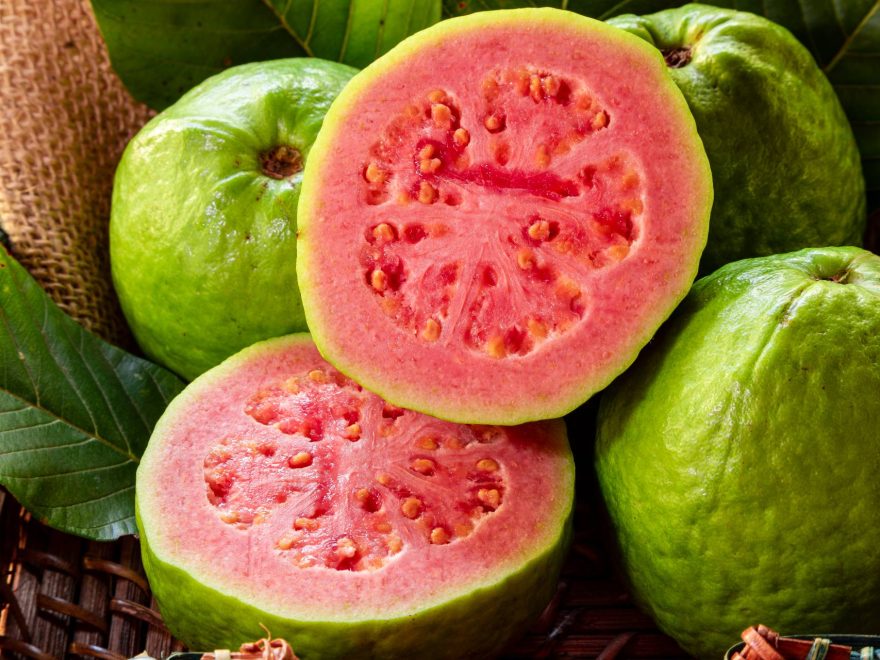 Guava is important for your health