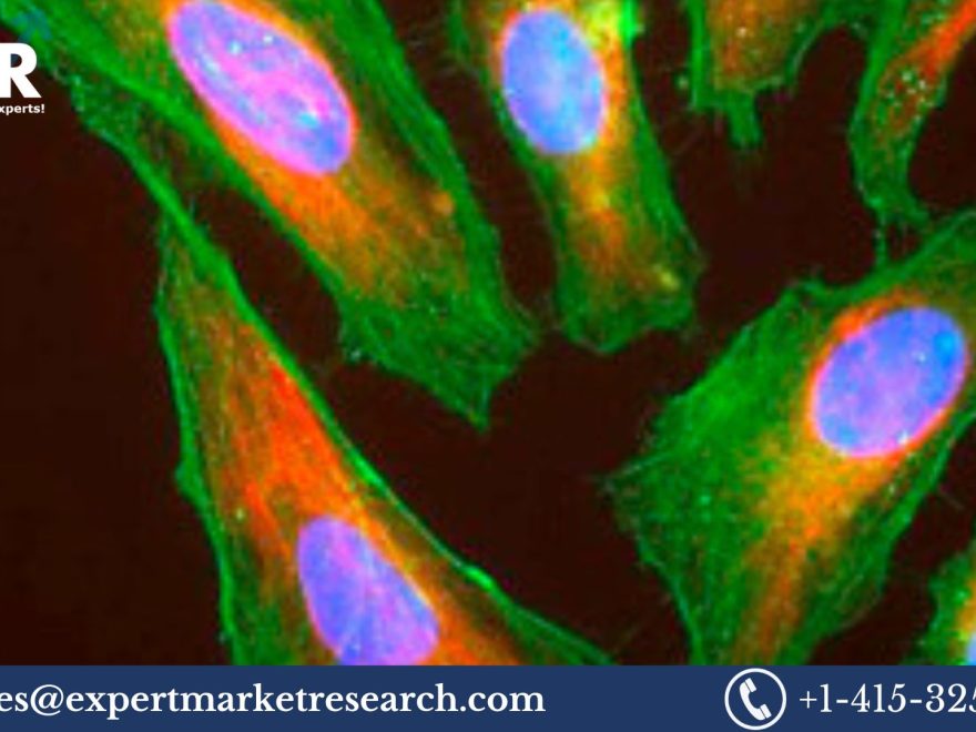 Immunofluorescence Assay Market