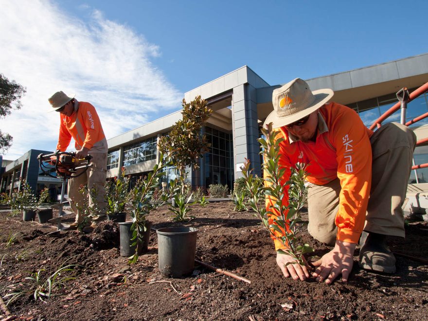 Landscape Construction Services