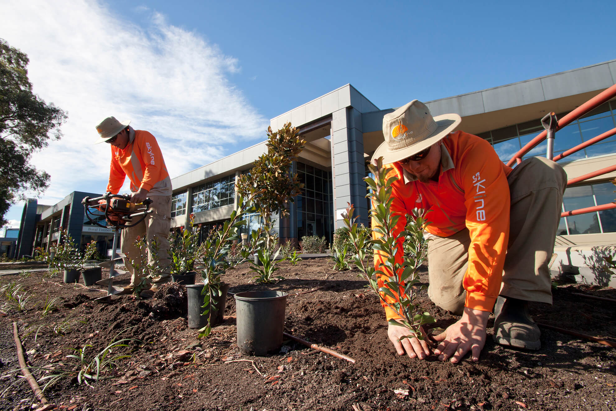 Landscape Construction Services