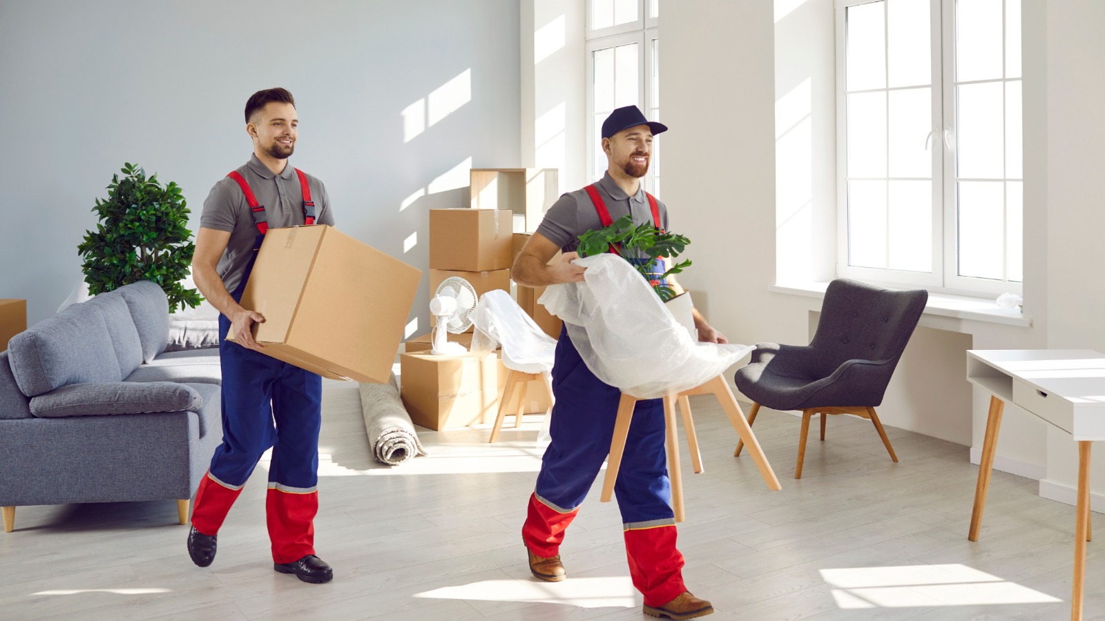 removalists melbourne