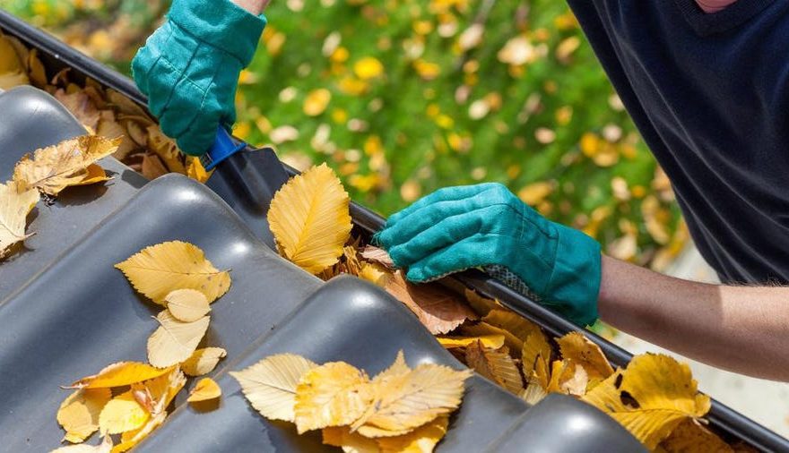 Gutter Cleaning Services