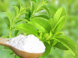 stevia powder