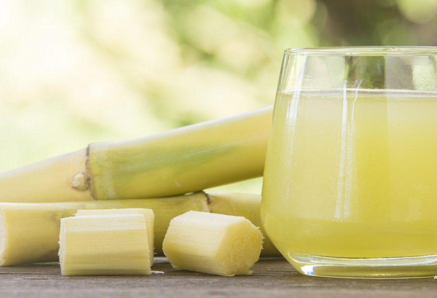 sugarcane