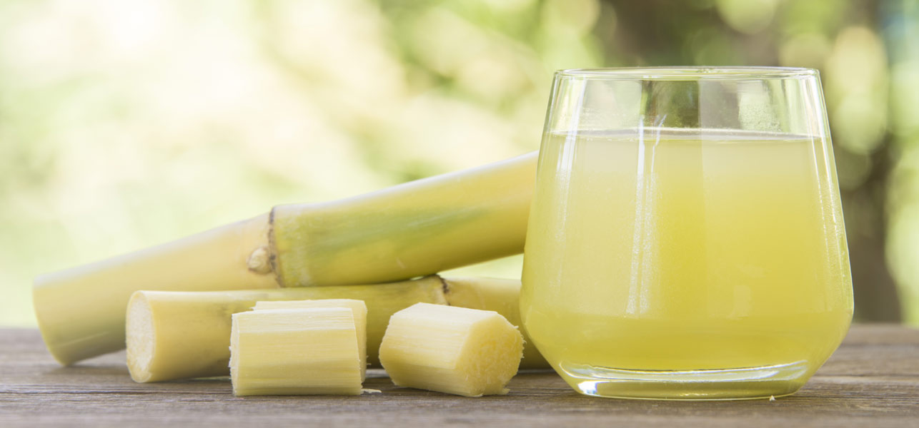 sugarcane