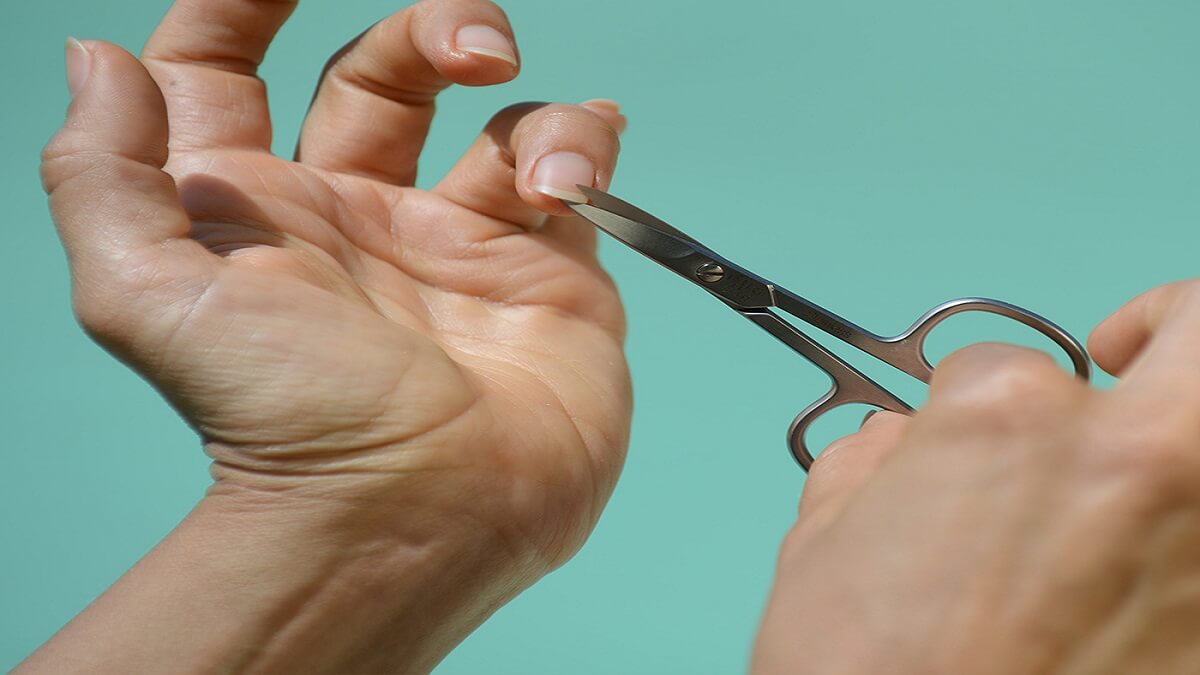 Nail Scissor Supplier in UK