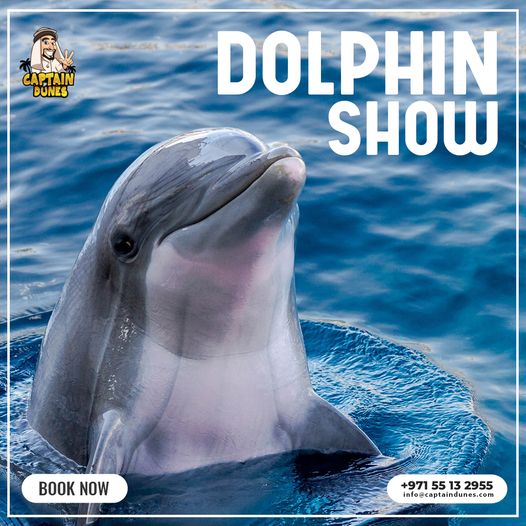 Dolphin Show Dubai