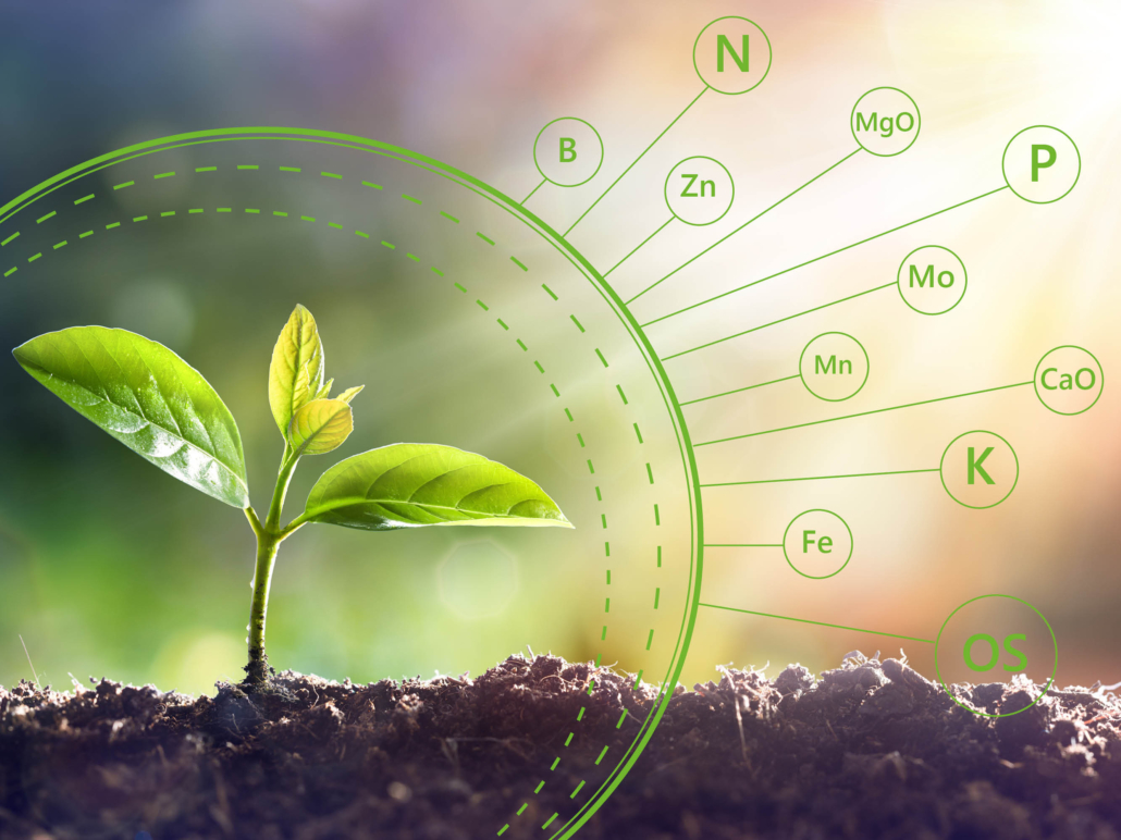 Agricultural Micronutrients Market