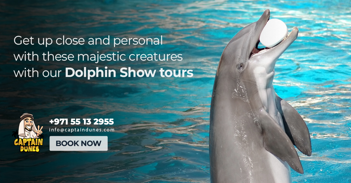 Dolphin Show Dubai