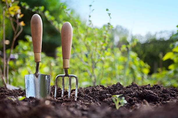 Garden soil Ottawa