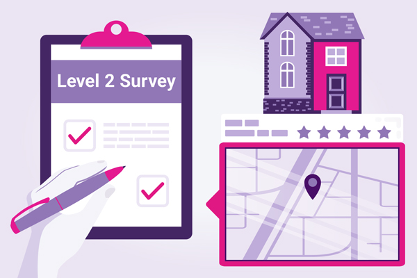 RICS Homebuyers Report