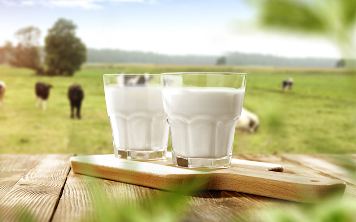 India Organic Milk Market