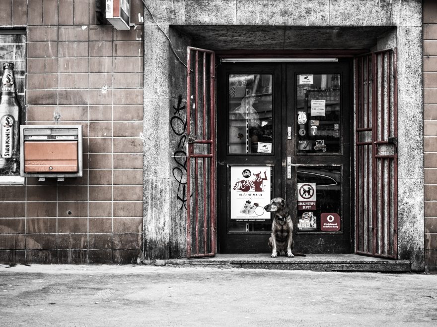 Shop front refurbishment