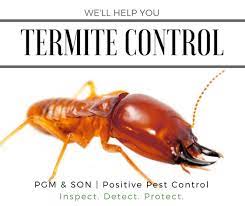 Termite Control in Lahore