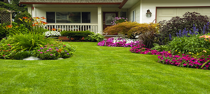 Cleveland landscaping