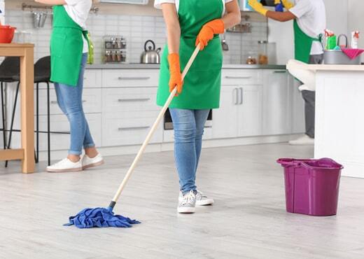 Professional Cleaning Services