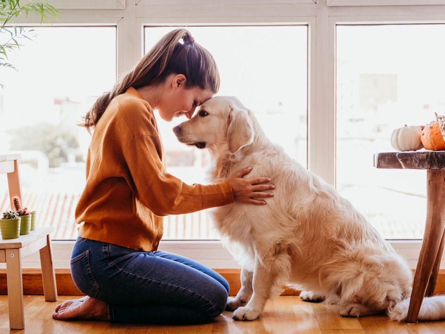 mental-health-in-dogs