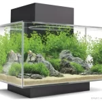 Aquarium Accessories Market