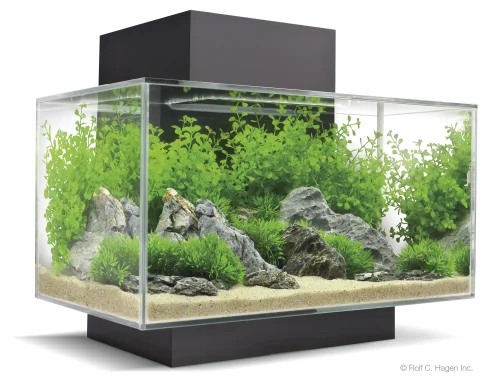 Aquarium Accessories Market