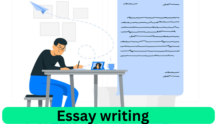 essay writing