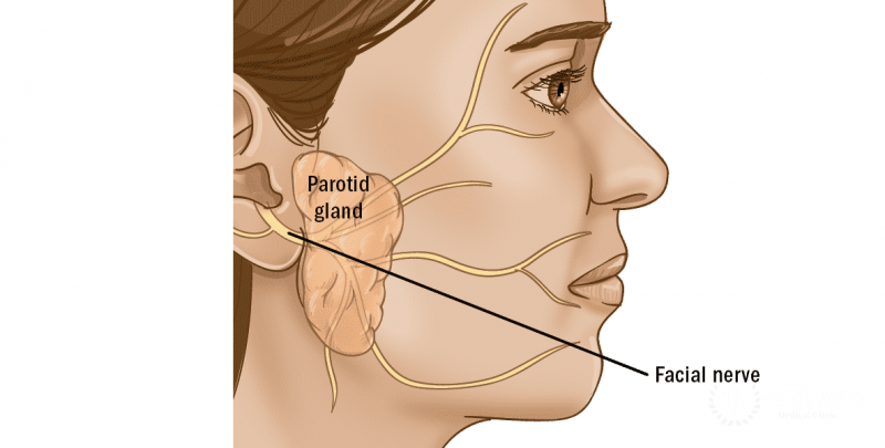 Thyroid and Parotid Gland Treatment