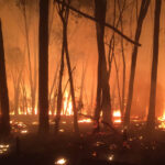 Bushfire Management Statement