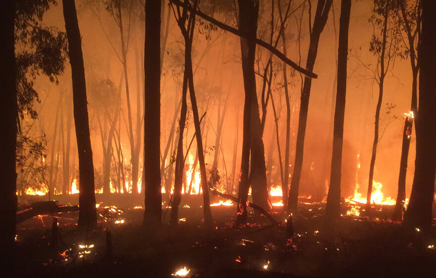 Bushfire Management Statement