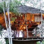 The Top 9 Luxury Treehouse Hotels in the World