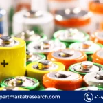 Alkaline Battery Market