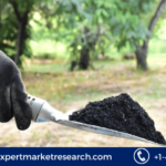 Biochar Market