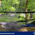 Camping Hammock Market