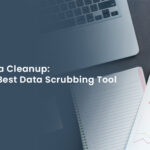 Data scrubbing tools