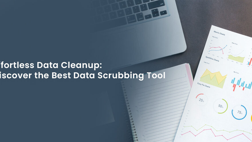 Data scrubbing tools