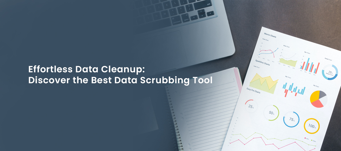 Data scrubbing tools