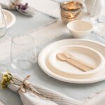 The Rise of Ecoware Revolutionizing Dining with Biodegradable Paper Plates