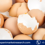 Eggshell Membrane Derivatives Market Size