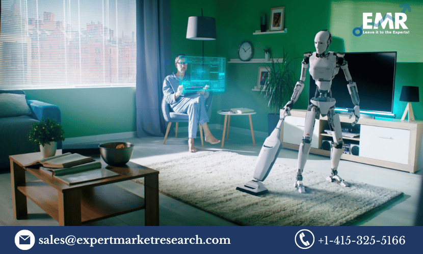 Household Robots Market