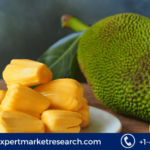 Jackfruit Market