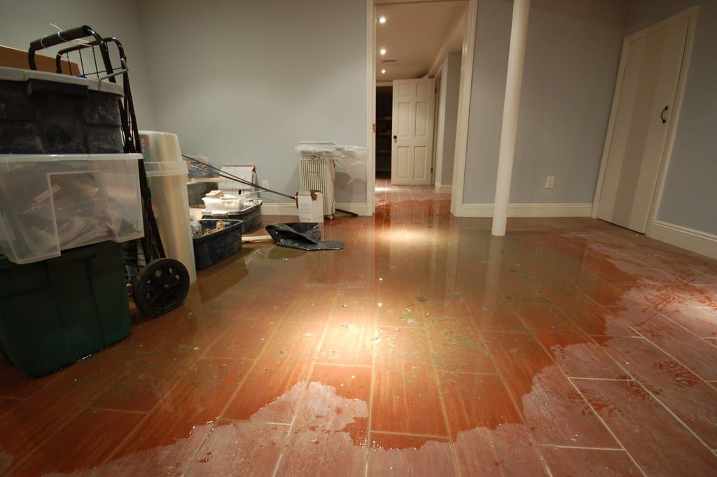 Los Angeles water damage inspection