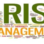 Financial Risk Management Assignment Help