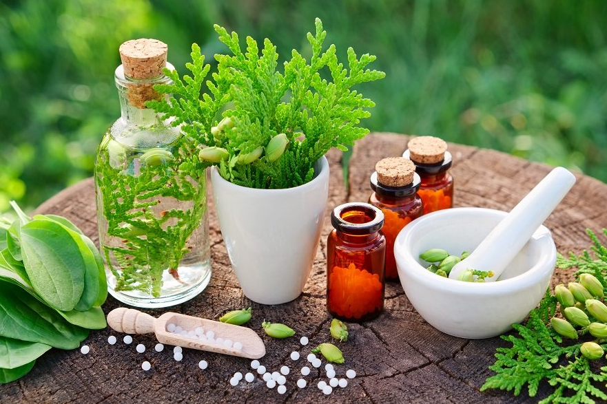 Herbal Therapy for Worm Infection