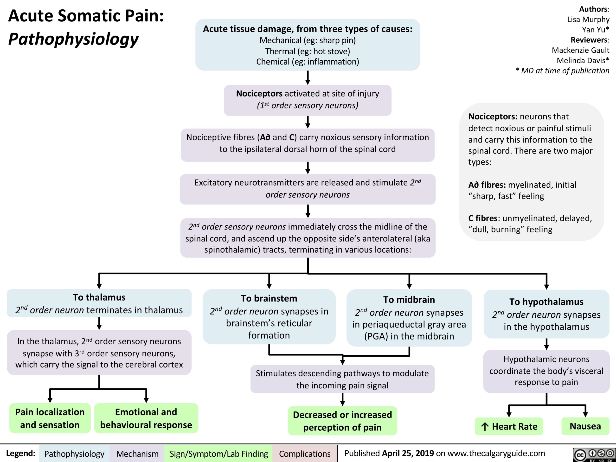 somatic pain