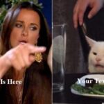 Taylor Armstrong meme