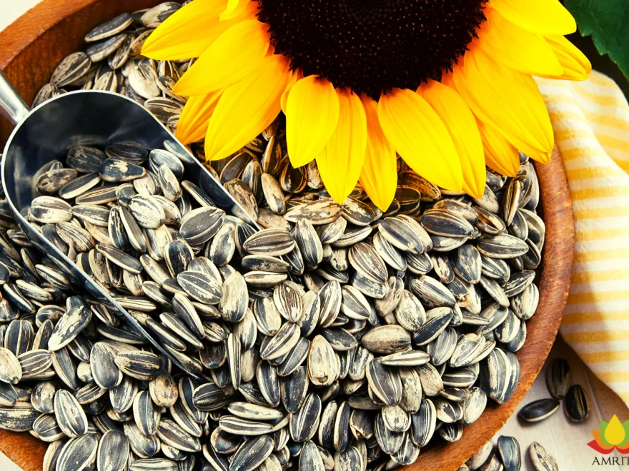 Why Sunflower Seeds Can Help You Live Longer