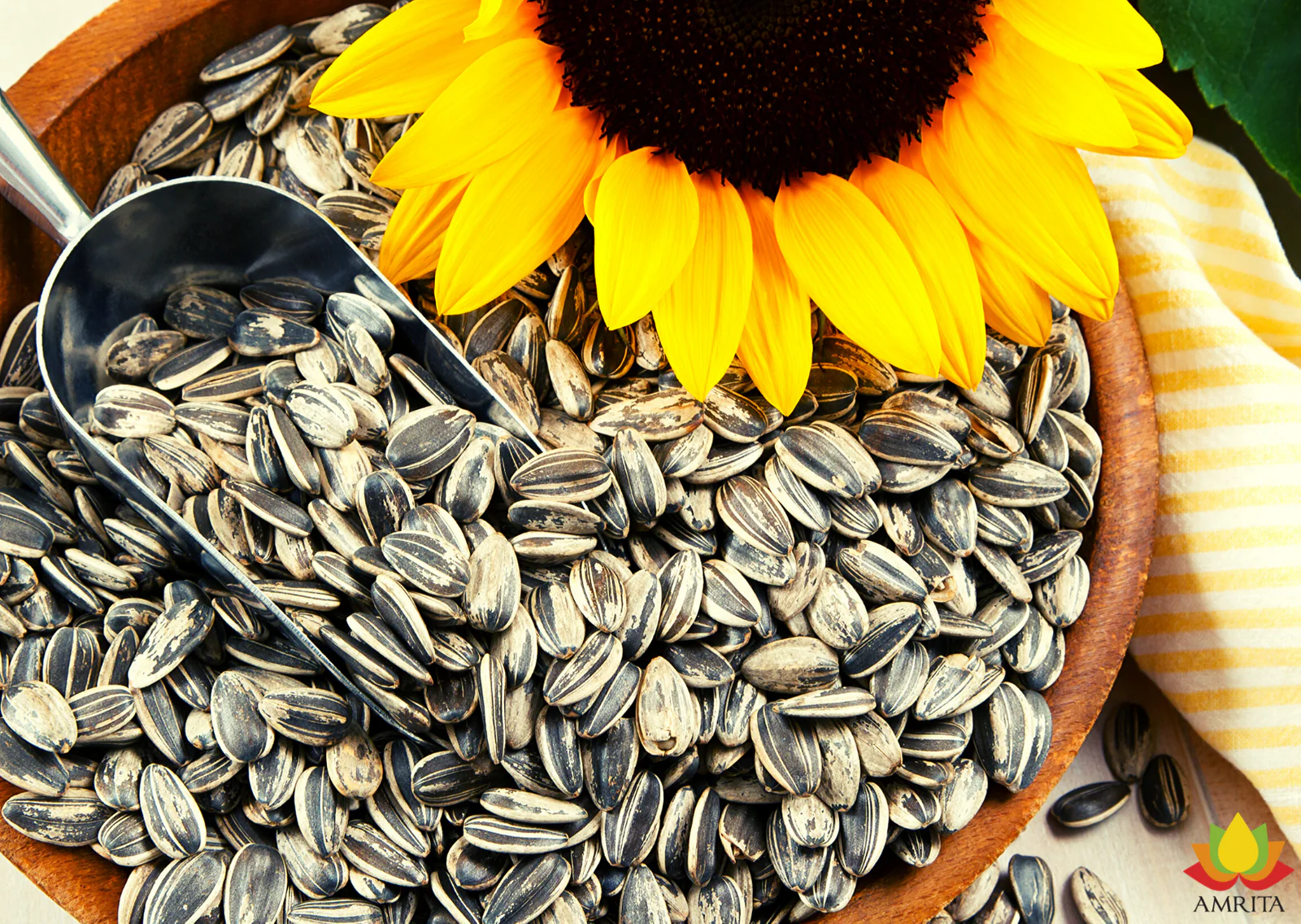 Why Sunflower Seeds Can Help You Live Longer