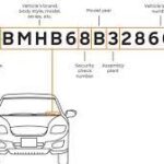 VIN and Chassis Number: Are They the Same?