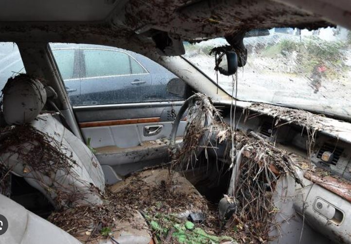 Car For Cash In Sydney