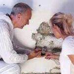 importance of mold inspection services